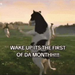 Cow Month GIF
