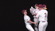 Cuc GIF by CUCougars