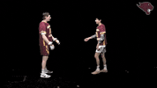 Cuc GIF by CUCougars