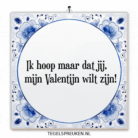 Humor Nl GIF by Tegelspreuken.nl