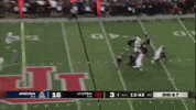 Utah Utes GIF