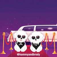 Dogs Press GIF by HammyandBrody