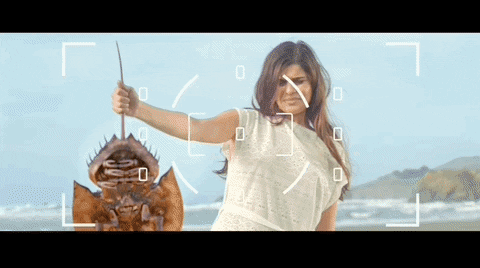 GIF by Raven Banner Entertainment