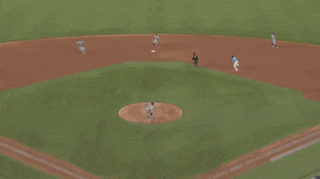 Major League Baseball Reaction GIF by MLB