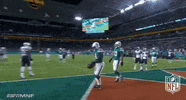 Miami Dolphins Football GIF by NFL
