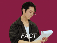 Truth Fact GIF by KINO