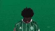 Werder Bremen Adeh GIF by Bundesliga