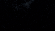 Crypto Dex GIF by ShibaNova