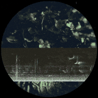 Mixed Media Art GIF by Robert Matejcek