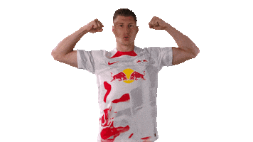 Willi Orban Football Sticker by RB Leipzig
