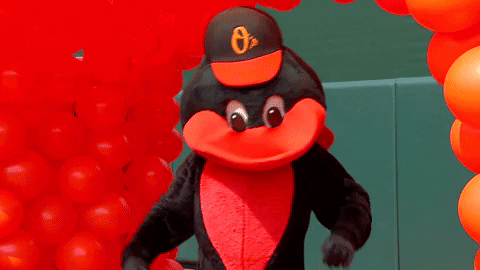 orioles giphyupload baseball mascot baltimore GIF
