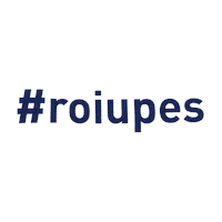roiuprules roiupagency Sticker by ROI UP Group