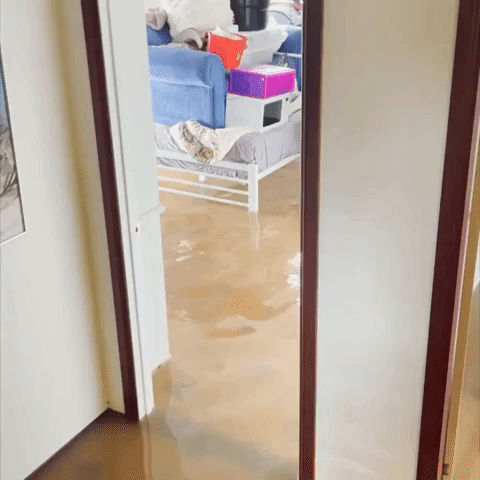 Kangaroo Visits Flooded Home for Shelter Amid Flooding Emergency in New South Wales