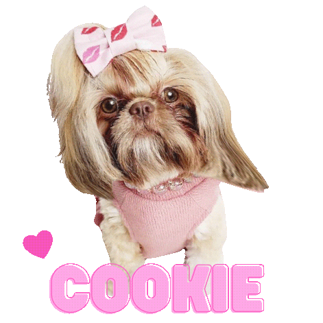 Kiss Kiss Cookie Dog Sticker