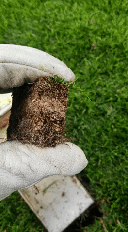 idelreyg giphyupload football golf rugby GIF