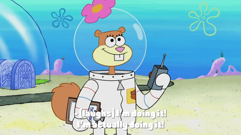 season 9 episode 24 GIF by SpongeBob SquarePants