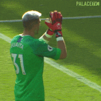 Waving Crystal Palace GIF by CPFC