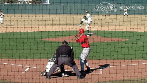 north dakota state baseball GIF by NDSU Athletics