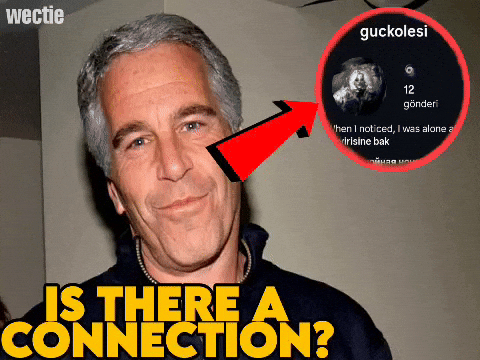 Jeffrey Epstein GIF