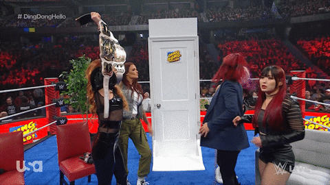 Sport Wwe GIF by USA Network