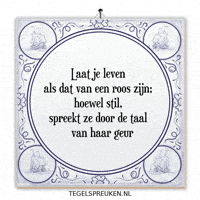 Humor Moment GIF by Tegelspreuken.nl