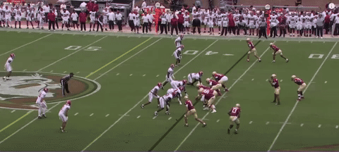 canesport giphyupload GIF