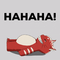 Cat Lol GIF by Kitaro World