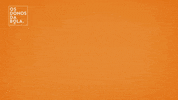 craqueneto GIF by Band