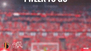 Belsui Belsui Reuteler Reuteler GIF by Swiss Football Association