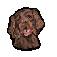 Dog Kodiak Sticker by HeARTs Speak
