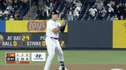 Ny Yankees GIF by Jomboy Media