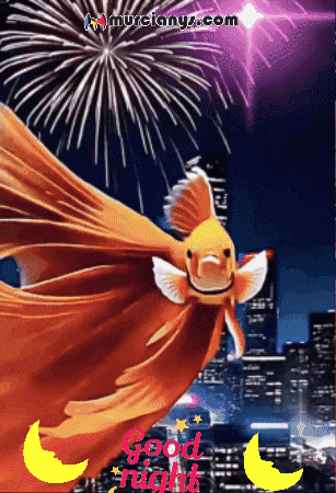 Good Night Amigos GIF by Murcianys LLC