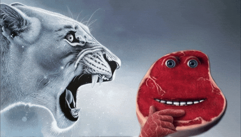 bsallacv2 giphyattribution meme memes rage GIF