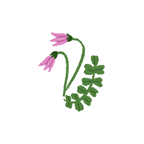 marjohiilivirta-illustrator nature flower floral botanical Sticker