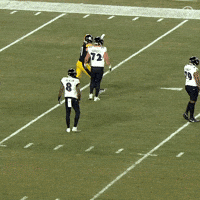 Celebration Nfl GIF by Pittsburgh Steelers