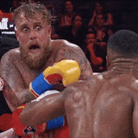 Logan Paul Boxing GIF