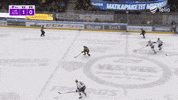 GIF by IFK_Helsinki