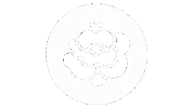 indie swipe up Sticker by Blossöm Records
