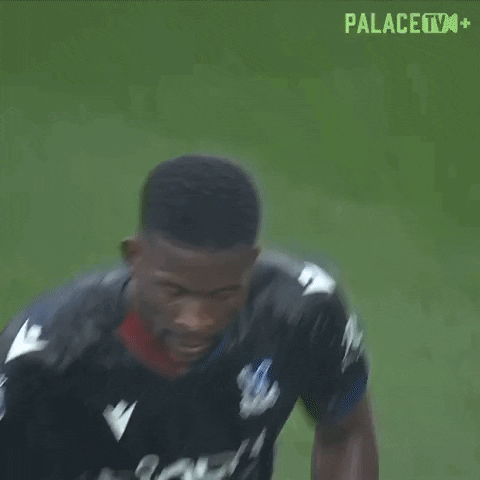 Premier League Run GIF by Crystal Palace Football Club