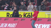 Lets Go Celebration GIF by 1. FC Köln