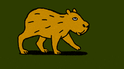 NyahooStudio animation cartoon animated animal GIF