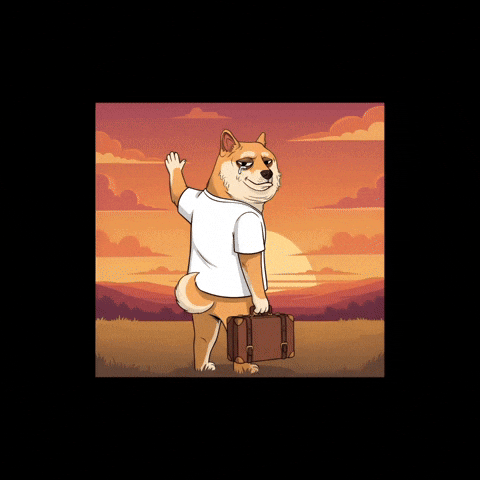 Sad Shiba Inu GIF by Doge Pound