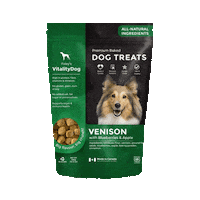 FoleyDogTreatCompany dogtreat foleydog vitalitydog Sticker