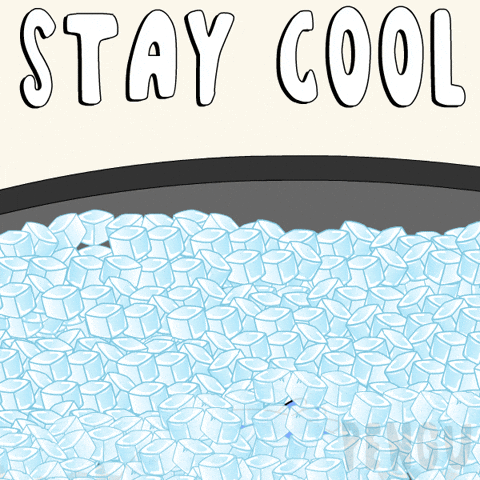 Calm Down Take It Easy GIF by Pudgy Penguins