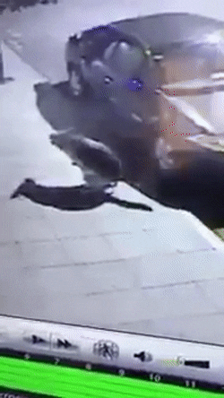 happens GIF