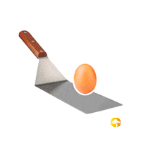 Show Teppanyaki Sticker by Bonsaisushive