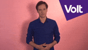 stemvolt voltnederland GIF by VoltNL
