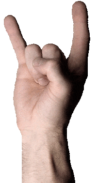 HoleshotPunx hsp punx holeshot holeshotpunx Sticker