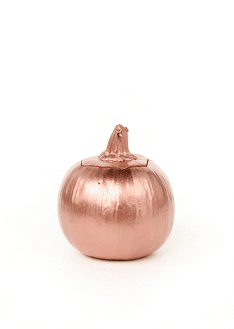 pumpkin GIF