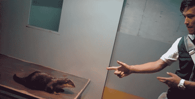 cuteanimalland giphyupload GIF